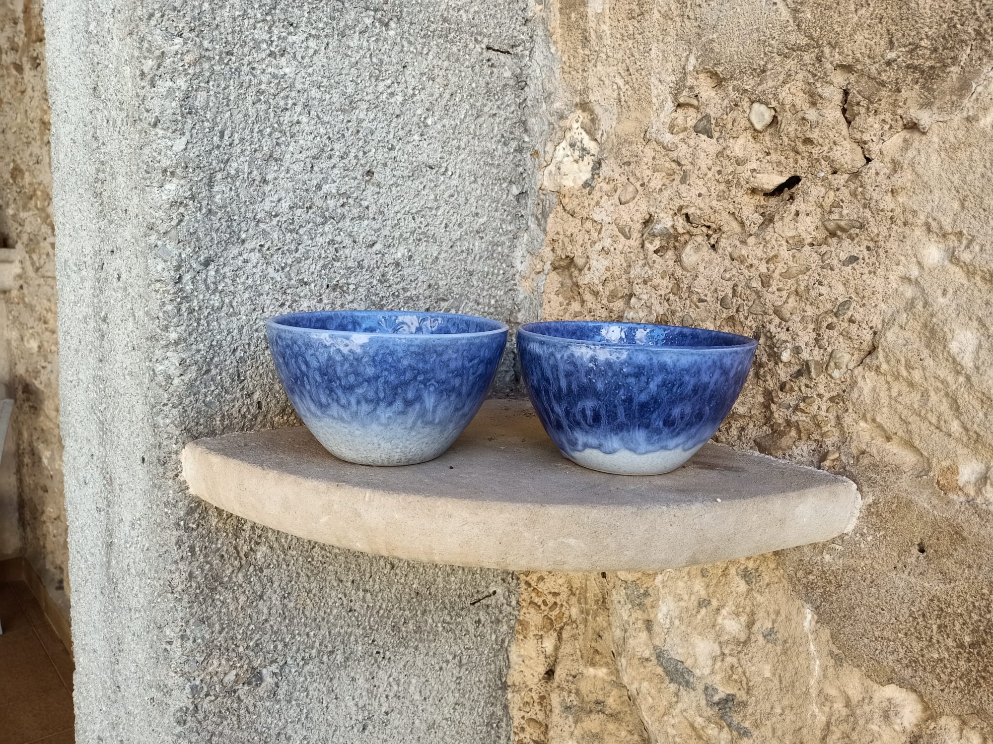 imagen coral blau
